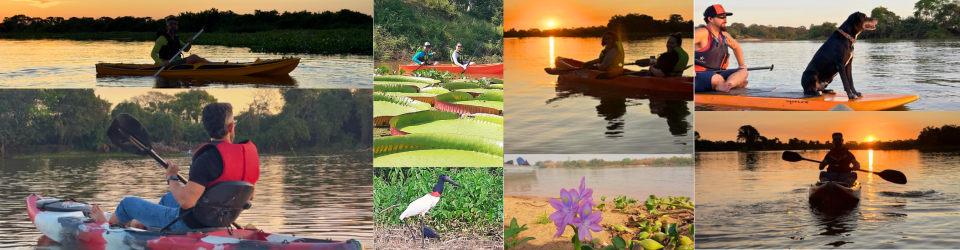 Passeio de Caiaque no Rio Paraguai: conexão e beleza natural no Pantanal