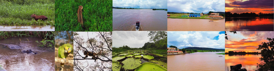 Passeio de Barco em Cáceres: contemplação da natureza no coração do Pantanal