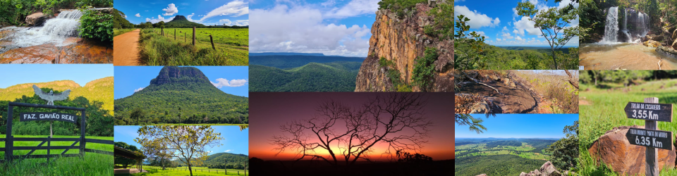 Trilha da Cachoeira na Fazenda Gavião Real: aventura e natureza em Cáceres